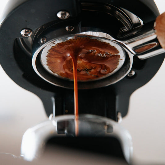 Barista Kurs Bern im Coffee Coaching Club