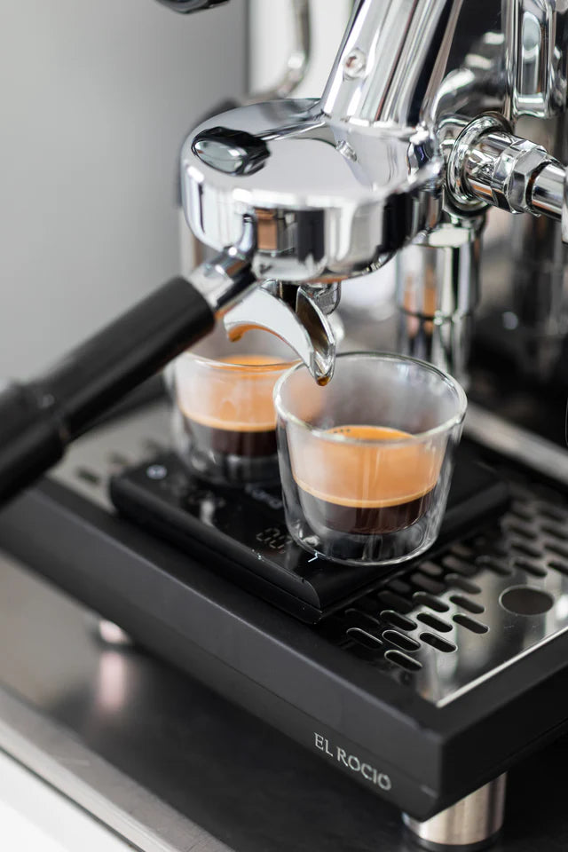 Varia FLO Doppel Wandige Gläser - Coffee Coaching Club