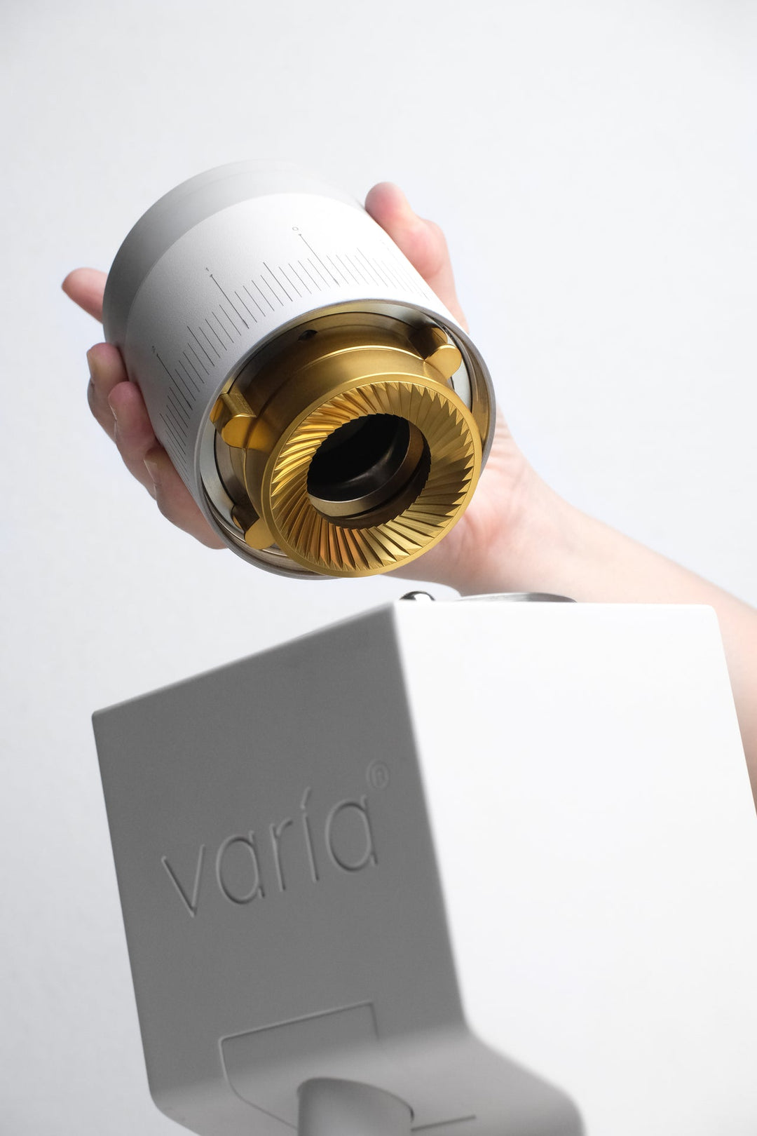 Varia VS6 - Supernova Gold Titanium Mahlscheiben 58 mm– Präzision für Filterkaffee und Espresso - Coffee Coaching Club