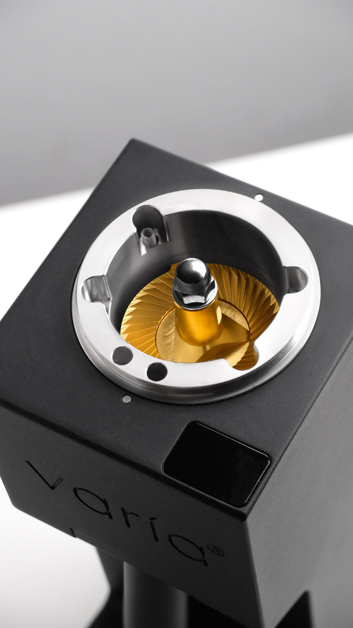Varia VS6 - Supernova Gold Titanium Mahlscheiben 58 mm– Präzision für Filterkaffee und Espresso - Coffee Coaching Club