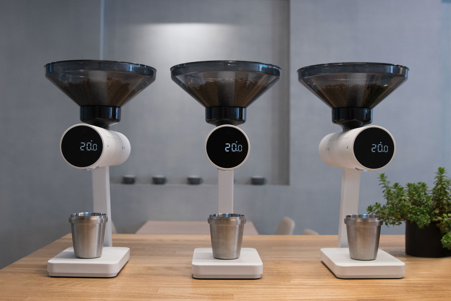 Orion Bohnen Dosierer Mini Matt Weiss - Coffee Coaching Club