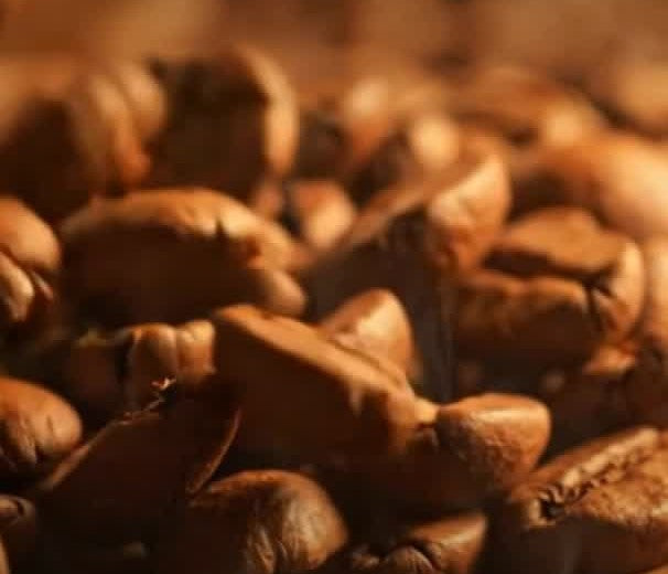 Frisch geröstete Kaffeebohnen aus unserer Rösterei