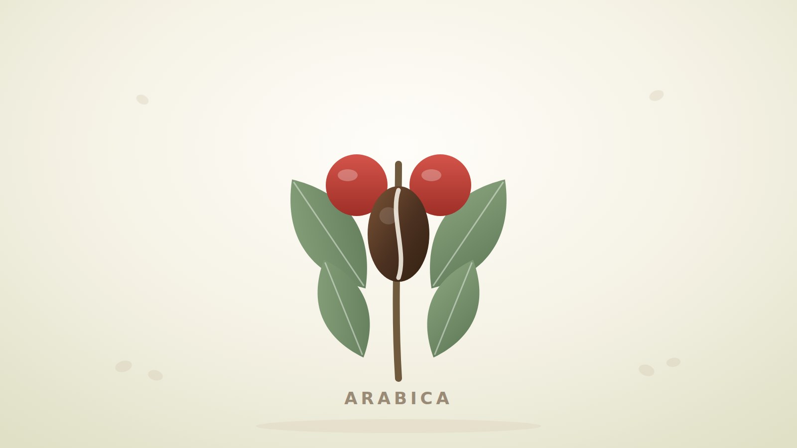 Illustration eines Arabica-Zweigs mit Kaffeekirschen, Blättern und Bohne