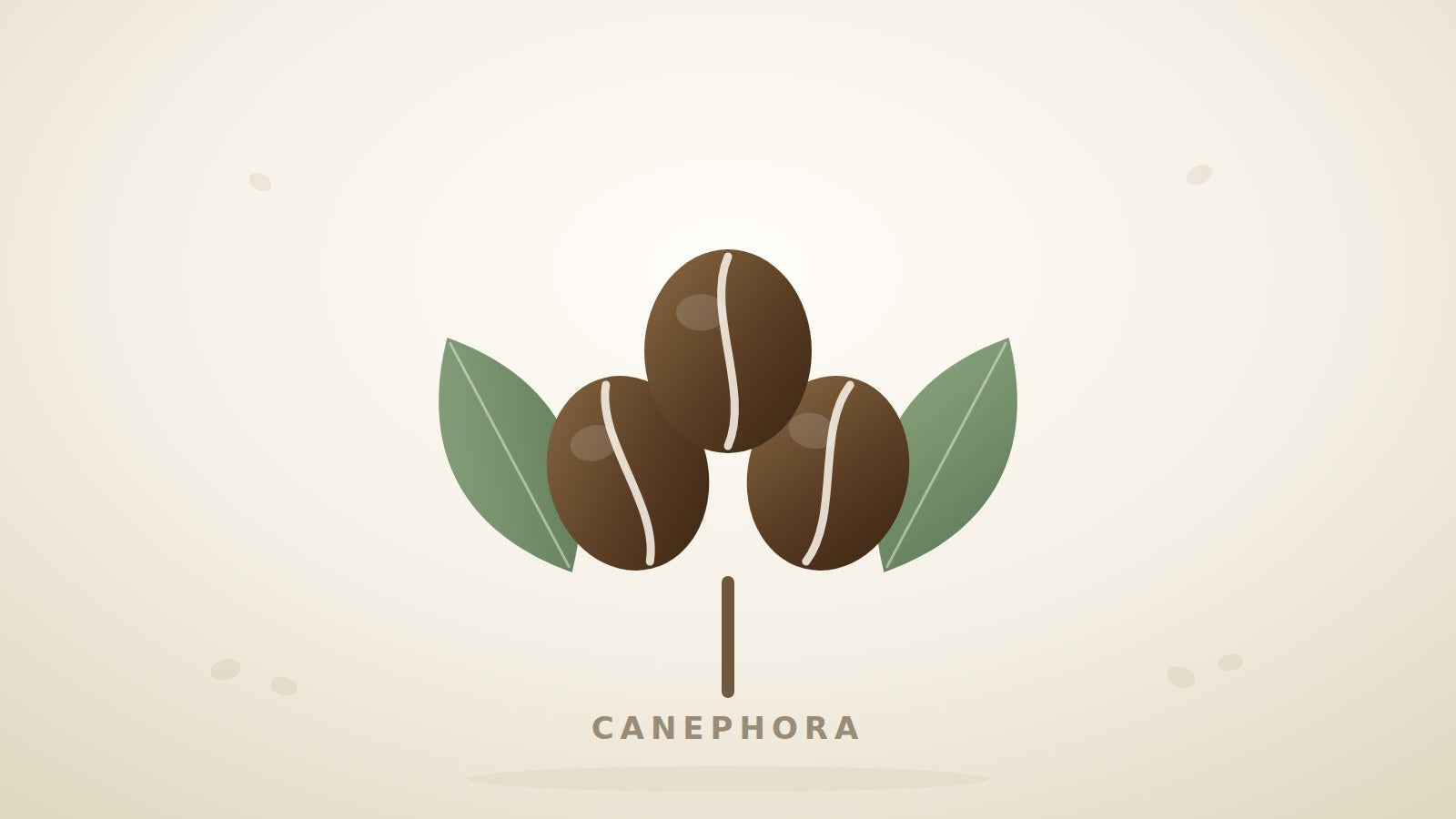 Illustration mehrerer runder Canephora-Kaffeebohnen mit Blättern