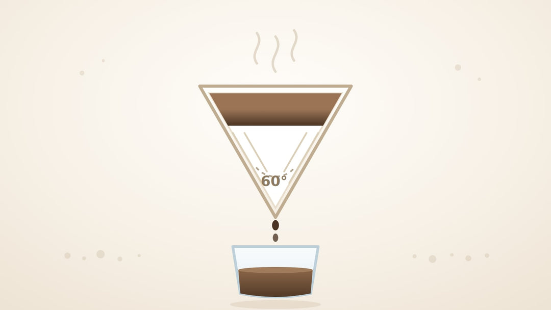 Illustration eines Hario V60 Handfilters im Querschnitt: Kaffeebett, 60-Grad-Kegel und Glaskanne