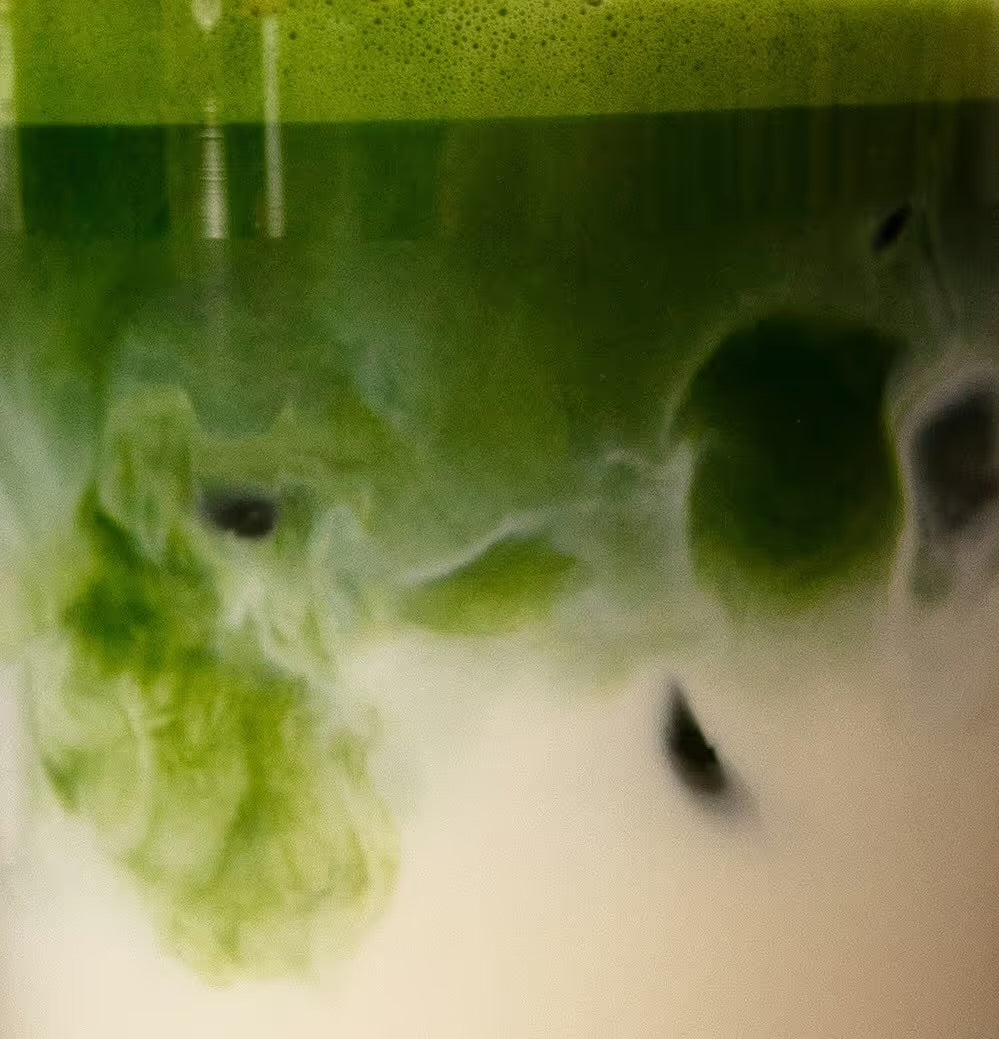 Zeremonieller Matcha – Matcha7