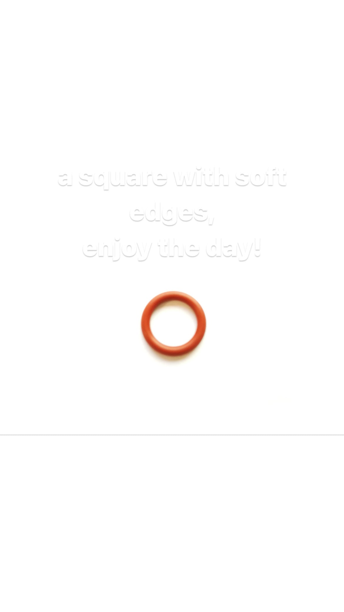 Rocket O-Ring für Dampfdüse Appartamento – Coffee Coaching Club 1