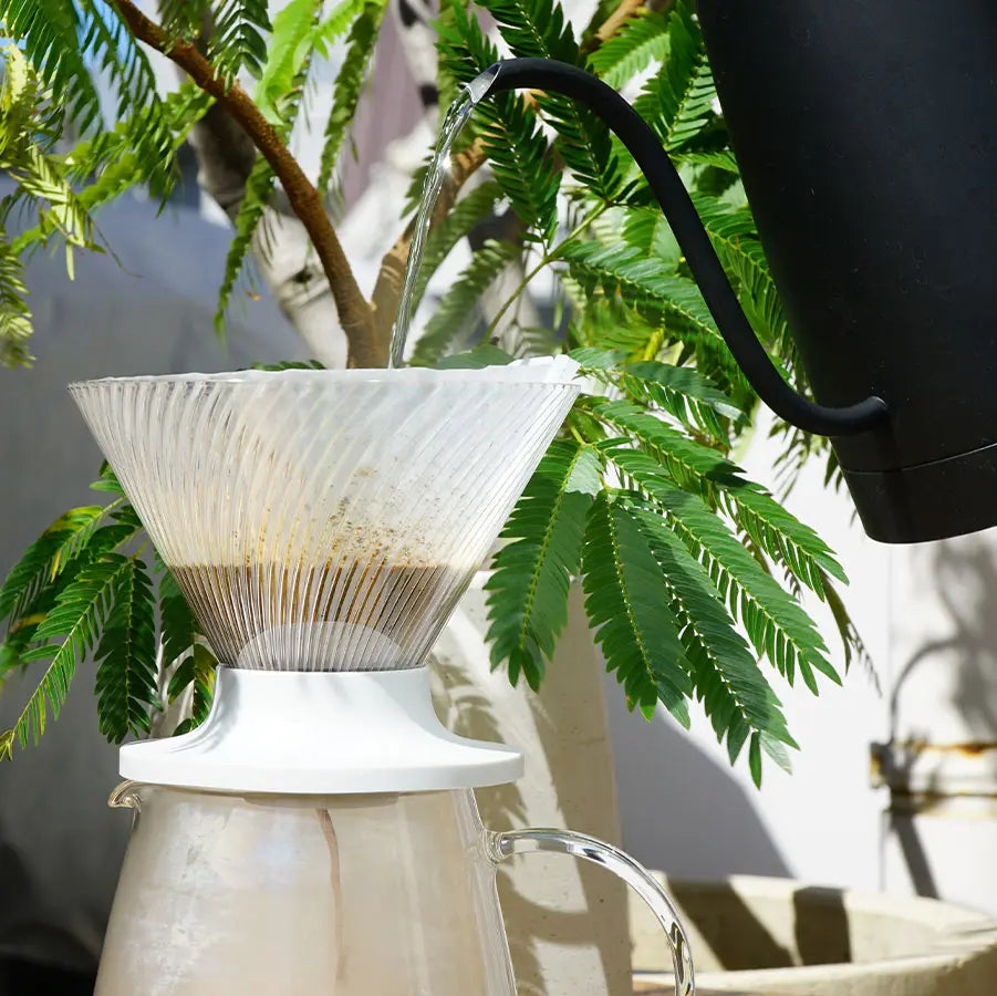 Hario V60 Dripper NEO 02 Pour-Over Brewer in Transparent auf einer Glaskaraffe am Fenster neben einer Zimmerpflanze