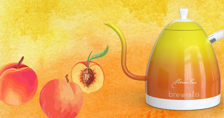 Brewista Artisan 1.0L Electric Gooseneck Kettle - Candy Orange - Coffee Coaching Club