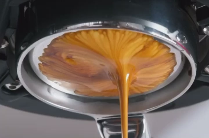 Charger la vidéo : Espresso extraction with Flair Espresso