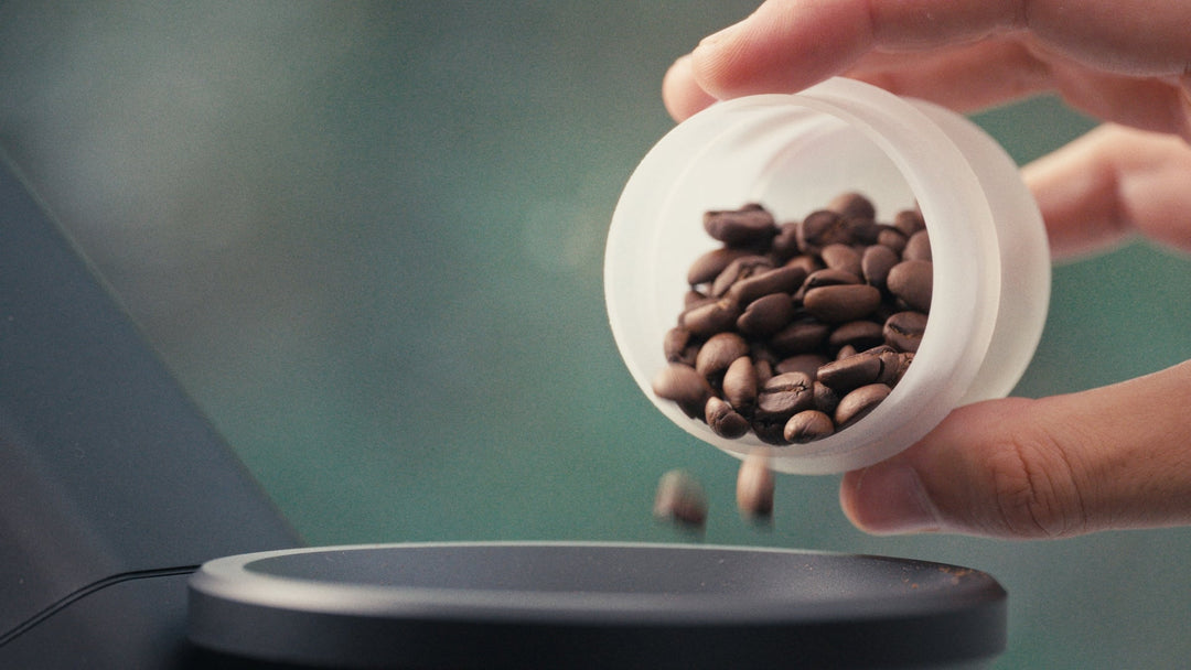 Weber Workshops Bean Cellar Shorty Frosted, Bohnen werden aus der Tube gegossen – Coffee Coaching Club 12