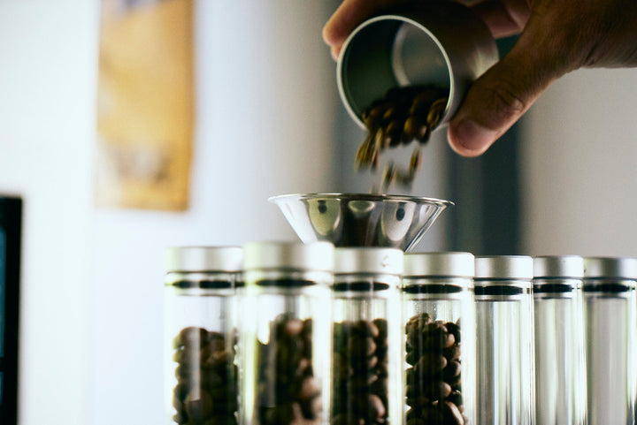 Weber Workshops Bean Cellar Befüllen über den Trichter – Coffee Coaching Club 8