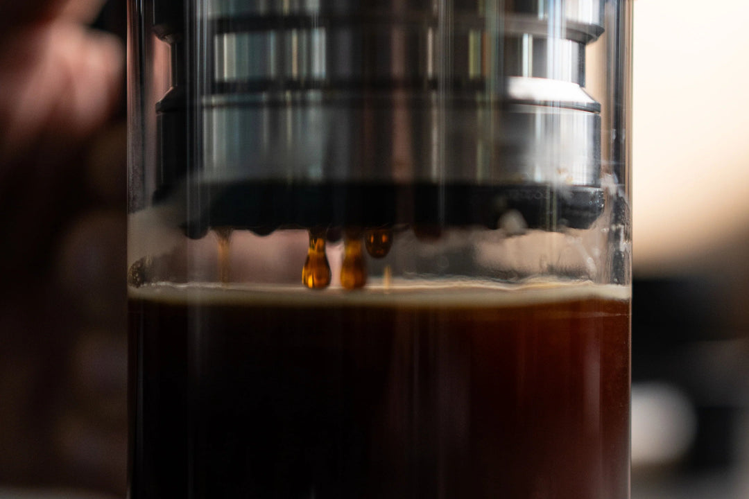 Weber Workshops BIRD Pod beim Hochziehen, gefilterter Kaffee im Glas – Coffee Coaching Club 21