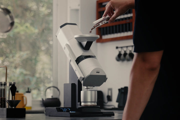 Weber Workshops EG-1 neue Generation Silber beim Einfüllen der Bohnen in der Küche – Coffee Coaching Club 21