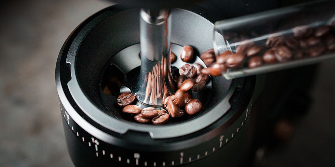 Weber Workshops Key MK II Bean Feeder mit Kaffeebohnen – Coffee Coaching Club 24